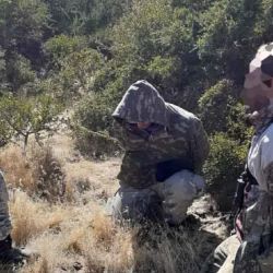 Los sujetos fueron atrapados durante un operativo.