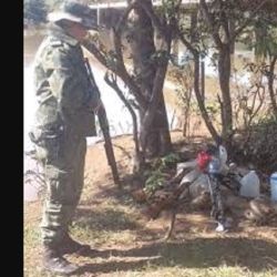 Se secuestraron un motor fuera de borda, dos rifles, machetes y una red sabalera, entre otros elementos.