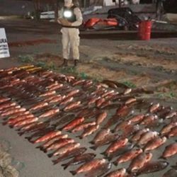 Los hechos delictivos que tienen como protagonista a la pesca se repiten asiduamente en las últimas semanas.