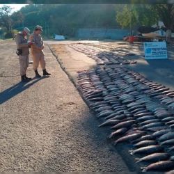 Los hechos delictivos que tienen como protagonista a la pesca se repiten asiduamente en las últimas semanas.