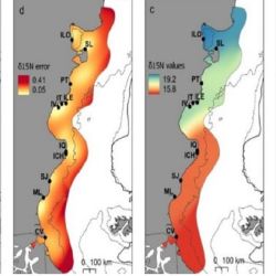 Mapa de isótopos estables basado en depredadores para la zona costera del plataforma continental patagónica.