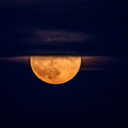 Luna de esturión de Agosto