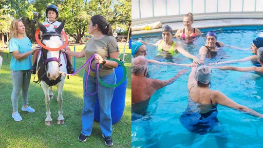 Animales de granja y kinesiología bajo el agua: las nuevas técnicas de rehabilitación