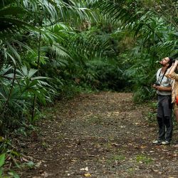Por su ubicación privilegiada, Panamá ofrece un contacto estrecho con la naturaleza. 