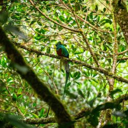 Por su ubicación privilegiada, Panamá ofrece un contacto estrecho con la naturaleza. 