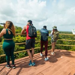 Por su ubicación privilegiada, Panamá ofrece un contacto estrecho con la naturaleza. 