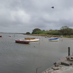 A los pejerreyes y lisas se suma la opción de los lenguados y las corvinas negras, calificadas especies que pican en la albufera. 