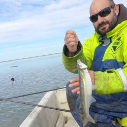 A los pejerreyes y lisas se suma la opción de los lenguados y las corvinas negras, calificadas especies que pican en la albufera. 