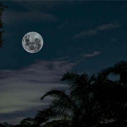 Luna de Esturión.