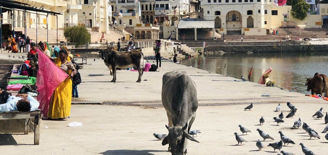 Turismo: descubrí el lado luminoso de India, un viaje que cambiará tu perspectiva