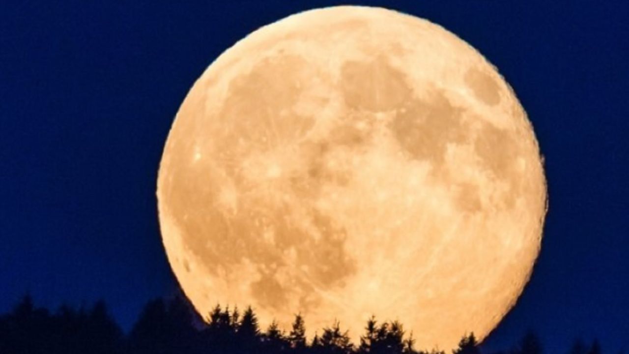 Super Luna de Esturión: ¿a qué hora podremos observarla desde Argentina?