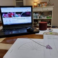 Marisa Volker: Un Viaje de Sanación y Transformación