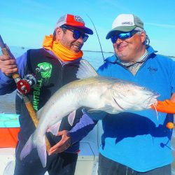 El autor de la nota y uno de los bagres más grandes de la jornada, pescado con línea corrediza. Los pesos rondan entre los 5 y  los 6 kg. Anzuelo 6/0  y brazolada de  1 m de largo. 