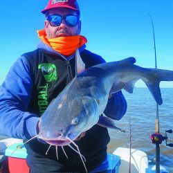 El autor de la nota y uno de los bagres más grandes de la jornada, pescado con línea corrediza. Los pesos rondan entre los 5 y  los 6 kg. Anzuelo 6/0  y brazolada de  1 m de largo. 