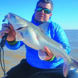 El autor de la nota y uno de los bagres más grandes de la jornada, pescado con línea corrediza. Los pesos rondan entre los 5 y  los 6 kg. Anzuelo 6/0  y brazolada de  1 m de largo. 