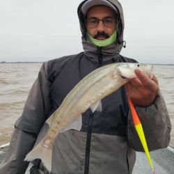 El Río de la Plata está en su mejor momento, hay cantidad y calidad, con meses por delante como agosto, septiembre y hasta octubre para seguir disfrutando de estas hermosas flechas de plata.