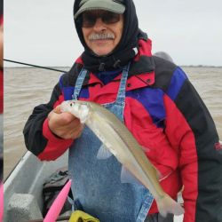 El Río de la Plata está en su mejor momento, hay cantidad y calidad, con meses por delante como agosto, septiembre y hasta octubre para seguir disfrutando de estas hermosas flechas de plata.