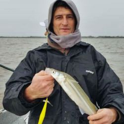 El Río de la Plata está en su mejor momento, hay cantidad y calidad, con meses por delante como agosto, septiembre y hasta octubre para seguir disfrutando de estas hermosas flechas de plata.