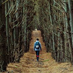 Miramar, la ciudad de los niños, ofrece muchas actividades y atractivos fuera de temporada.