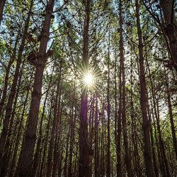 Miramar, la ciudad de los niños, ofrece muchas actividades y atractivos fuera de temporada.