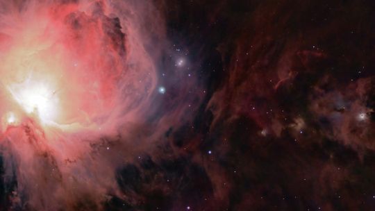 Horóscopo para Virgo: Descubrí que te depara el futuro para el comienzo de tu ciclo