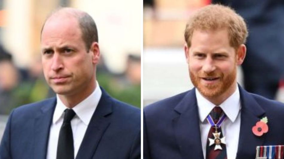 Príncipe William y príncipe Harry