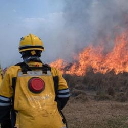 El SNMF sigue formando profesionales para el combate contra el fuego.