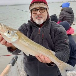 Casi en el epílogo de la temporada de pejerrey, próximos al inicio de la veda de la especie en distintas provincias del país. 