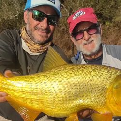 Casi en el epílogo de la temporada de pejerrey, próximos al inicio de la veda de la especie en distintas provincias del país. 