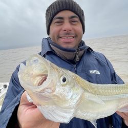 Casi en el epílogo de la temporada de pejerrey, próximos al inicio de la veda de la especie en distintas provincias del país. 
