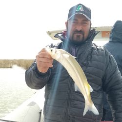 Casi en el epílogo de la temporada de pejerrey, próximos al inicio de la veda de la especie en distintas provincias del país. 