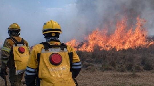 Capacitan a profesionales para la prevención de los incendios forestales