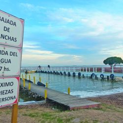 Las lagunas que mejor rinden para la pesca de pejerrey: Sauce Grande, La Margarita, Cochicó y Altos Verdes, entre otras.