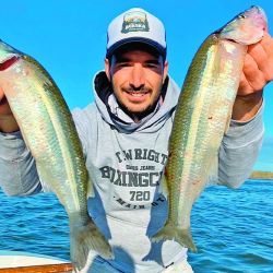 Las lagunas que mejor rinden para la pesca de pejerrey: Sauce Grande, La Margarita, Cochicó y Altos Verdes, entre otras.