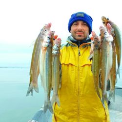 Las lagunas que mejor rinden para la pesca de pejerrey: Sauce Grande, La Margarita, Cochicó y Altos Verdes, entre otras.