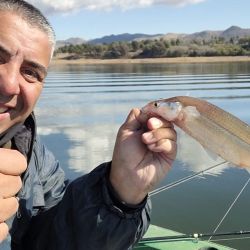 Las líneas más rendidoras, tanto las de vuelo de 2 anzuelos, pescando a fondo, como el balancín liviano de 12 g, con bajadas de 80 cm y mojarra viva de carnada. 