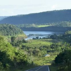 La iniciativa se centra en restaurar y conectar fragmentos de monte remanentes con las áreas protegidas de la región.