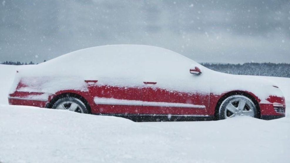 Nieve