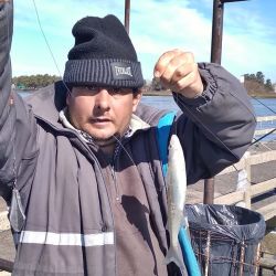 Los vientos intensos que hubo del sector ESE favorecen la pesca ya que permiten generar altos volúmenes en el río y también que se acerquen distintas especies. 