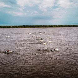 El armado es llamado el pollo del río, por su similitud de carne y la variedad de comidas que se pueden realizar con él.