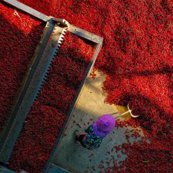 Un trabajador seca chiles en una fábrica en el municipio de Chongqing, en el suroeste de China. | Foto:AFP