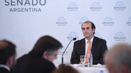 Presentación de García Mansilla en el Senado