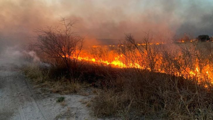 INCENDIO ENTRE LA CALERA Y MALAGUEÑO.