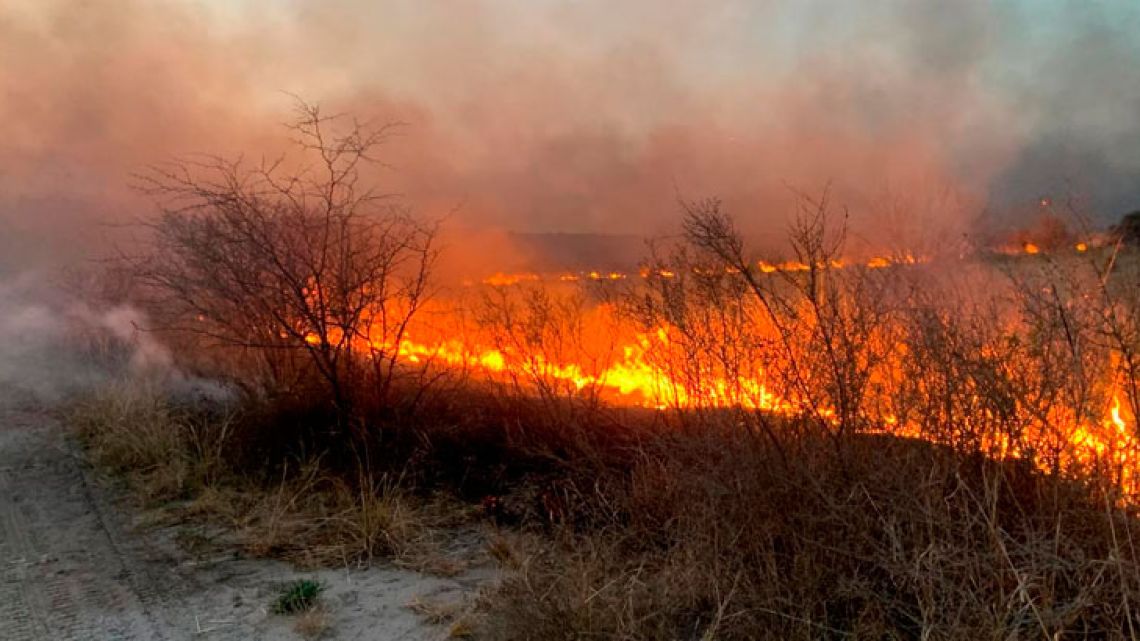 Incendio forestal: se quemaron más de 1.700 hectáreas en los terrenos militares de La Calera