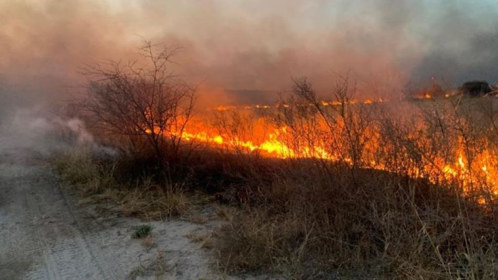 29-08-2024 incendios Córdoba La Calera Malagueño