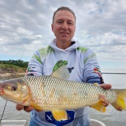 El Alto Paraná no escapa al presente de otros destinos del litoral. Con más calidad que cantidad, buenos piques en El Rabón. 
