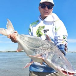 El Alto Paraná no escapa al presente de otros destinos del litoral. Con más calidad que cantidad, buenos piques en El Rabón. 