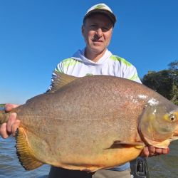 El Alto Paraná no escapa al presente de otros destinos del litoral. Con más calidad que cantidad, buenos piques en El Rabón. 