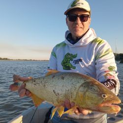 El Alto Paraná no escapa al presente de otros destinos del litoral. Con más calidad que cantidad, buenos piques en El Rabón. 