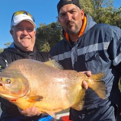 El Alto Paraná no escapa al presente de otros destinos del litoral. Con más calidad que cantidad, buenos piques en El Rabón. 